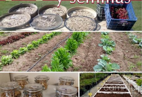 El Banco de Semillas de la Diputación de Córdoba vuelve a apoyar a los agricultores locales